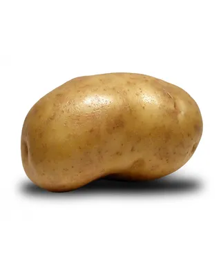 Картофель Лилли Potato Lilly - купить семенной картофель с доставкой по  Украине в магазине Добродар