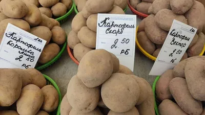 Белорусская картошка в опасности: Россия требует объяснений