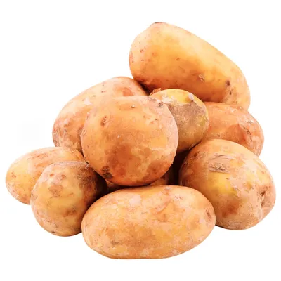 Отзыв о Сорт картофеля \"Киви\" | Не ест ни колорадский жук, ни проволочник,  устойчив фитофторе прочим болезням, высокая урожайность, но...