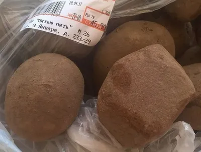 Сорт картофеля Любава - ранний, урожайный сорт, красная кожура, белая  мякоть. Семенной картофель от производителя