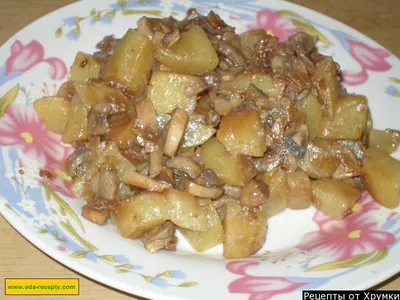 Картошка с грибами в духовке: пошаговый рецепт от Евгения Клопотенко