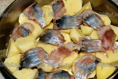Селедка на картофельной подушке - пошаговый рецепт с фото на Повар.ру
