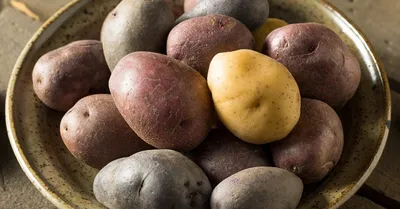 Картошка картопля Солоха: 25 грн. - Продукты питания / напитки Казатин на  Olx