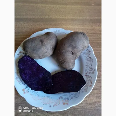 Из фиолетового картофеля «солоха» надумал сварить пюре, демонстрирую, что  получилось | Так Просто! | Дзен