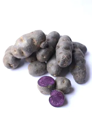 Семенной картофель Солоха 0,5 кг Элита купить в Украине с доставкой | Цена  в Svitroslyn.ua