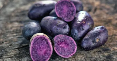Фиолетовый белорусский картофель «Сапфир» — Продукция агроусадьбы Помяна