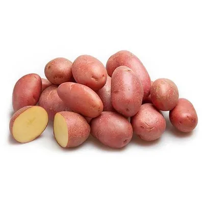 Продам/купить картофель с розовой мякотью сорт Хортица, Киев — Agro-Ukraine