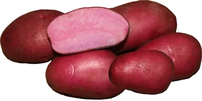 Территория счастья - Такие сорта картофеля растут в Перу 💕 | Facebook