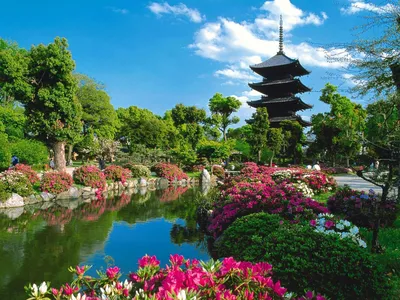 Китайский сад в стиле фен-шуй – естественность цветов и форм камней для  ландшафтного дизайна