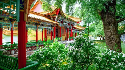 Китайский сад (60 фото) - 60 фото