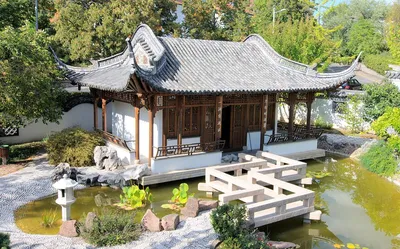 Китайский сад с сакурами» — создано в Шедевруме