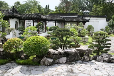 Китайский сад в центре Петербурга