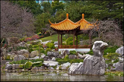 Китайский сад – Штутгарт – Германия