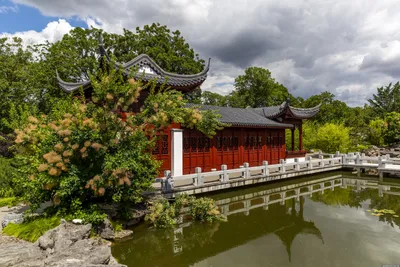 Фотообои \"Традиционный китайский сад\" - Арт. 160150 | Купить в  интернет-магазине Уютная стена