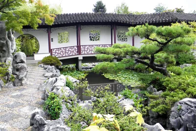 Китайский сад, цветы, бамбук, гейши…» — создано в Шедевруме