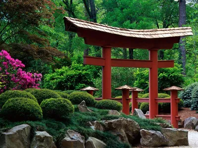 Китайский сад (42 фото) - фото - картинки и рисунки: скачать бесплатно