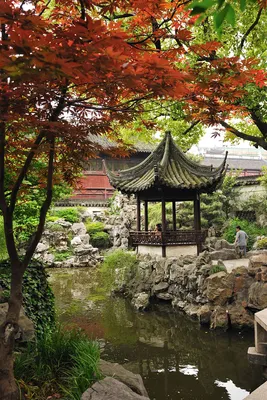10 необычных китайских садов | myDecor