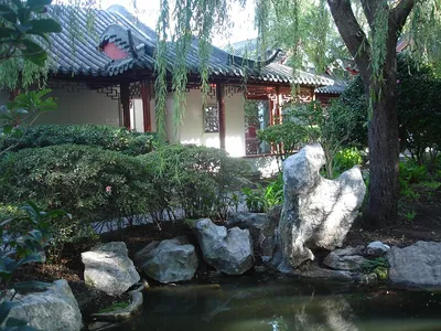 Китайский сад» — создано в Шедевруме