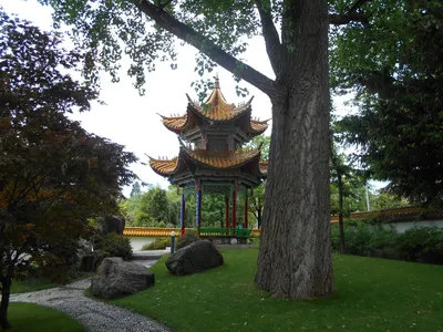 Китайский сад Цюрих Швейцария :: Swea Land – Социальная сеть ФотоКто