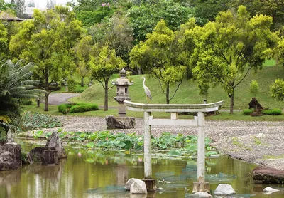 Безмятежный китайский сад с пагодой …» — создано в Шедевруме