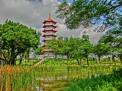 Китайский сад в Сингапуре | Отдых в Сингапуре
