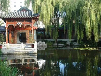Парк «Китайский Сад дружбы» в Санкт-Петербурге | A-a-ah.ru