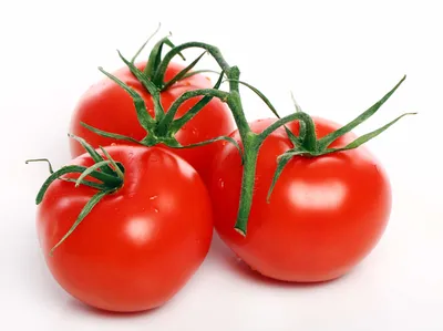 Как правильно сажать помидоры в открытом грунте рассадой лежа в траншею -  YouTube