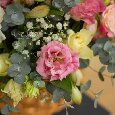 Красивые клумбы из многолетних цветов: 84 фото, готовые схемы | ivd.ru