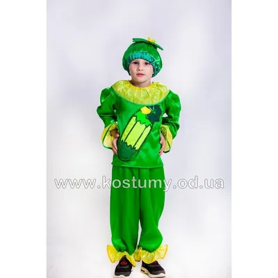 Прокат карнавальный костюм огурец огірок огурчик орурца для мальчика костюм  на праздник осени, цена 220 грн - купить Костюмы и комплекты бу - Клумба