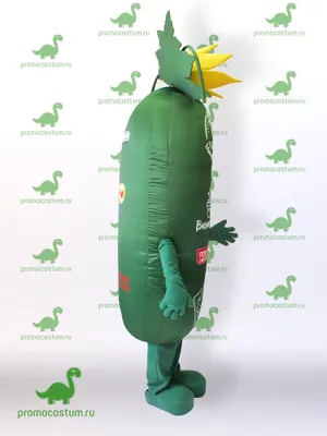 Маска карнавальная овоща для костюма Огурец детская на утренник - купить по  доступным ценам в интернет-магазине OZON (309748337)