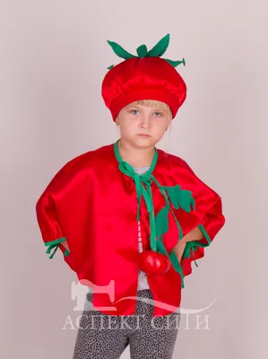 Карнавальный костюм Батик Помидор 21-45-116-60 полиэстер размер детский в  Кемерове – купить по низкой цене в интернет-магазине Леруа Мерлен