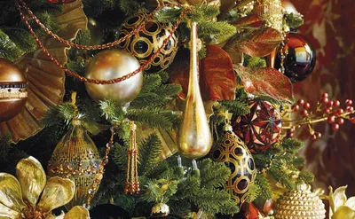 Искусственная новогодняя елка или живая? | Блог ZELENA