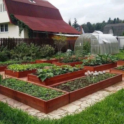 Новый закон заставит дачников навести порядок в садах и огородах