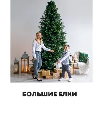 Красивые новогодние елки №635 - 🌹 Цветы Новосибирк: