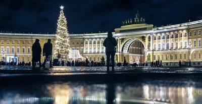 Самые красивые Новогодние елки Европы – PRODELO