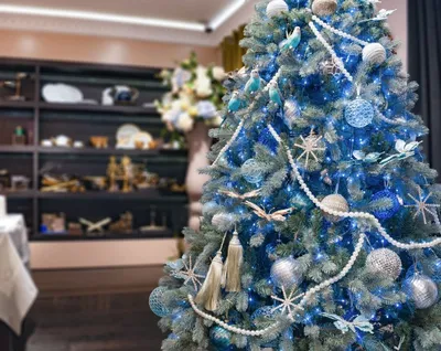 Искусственная голубая ель: характеристика и декор на новый год