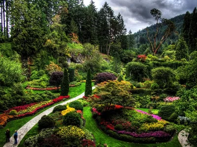 Самые красивые сады — Родной загородный поселок