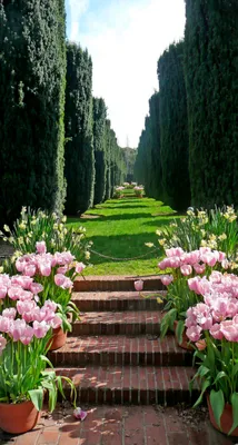 Самые красивые сады мира. Сады Филоли (Калифорния) - Вокруг света | Красивые  сады, Садовые дорожки, Сад