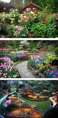 Самые красивые сады мира | Дмитрий Хрычиков | Дзен