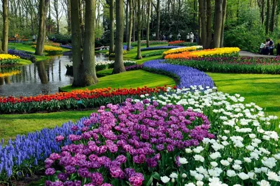 Самые красивые сады мира. Список лучших садов с ФОТО
