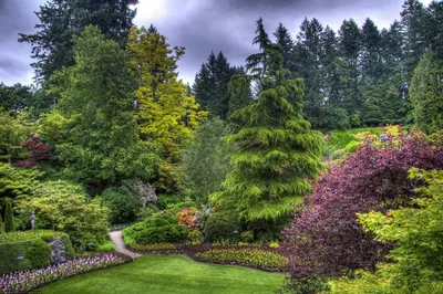 Самые красивые сады мира - 75 фото
