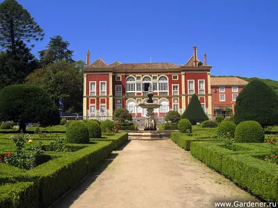 Сад при дворце маркиза Де Фронтейра | Ландшафтный дизайн садов и парков