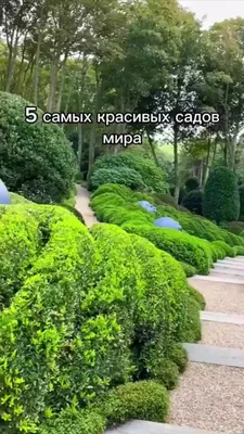 🌏Мир путешествий🌍 | Самые красивые сады в мире | Дзен