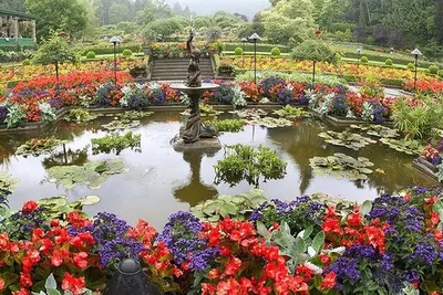 Самые красивые сады в мире | Путешествия по Земле | Дзен