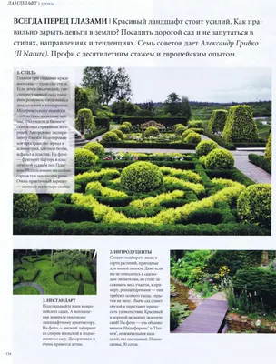 Красивый дизайн сада весны с рододендроном Стоковое Изображение -  изображение насчитывающей листья, буш: 55493185