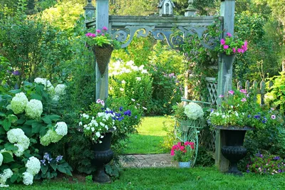 Красивый сад своими руками: ландшафтный дизайн, цветы и декор | Женщина  после 50 | Дзен