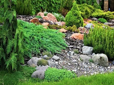 красивый пруд для отдыха в саду, отдых возле красивого пруда, отдых возле  пруда в саду Мелитополь, ландшафтный дизайн, ландшафтный дизайн | Royal  Forest