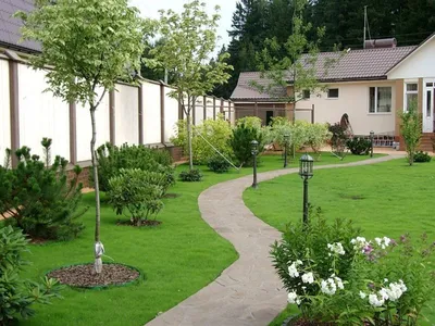 Фруктовый сад дизайн дачного участка (76 фото) - фото - картинки и рисунки:  скачать бесплатно