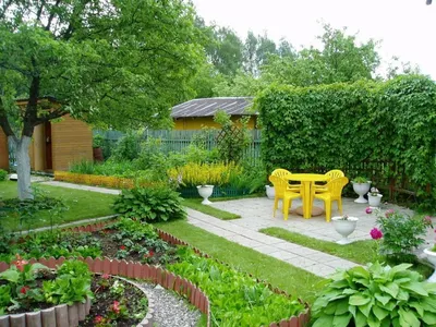Огород стильный в ландшафтном дизайне - 77 фото