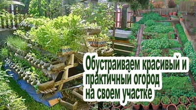 Дача летом красивый сад и огород» — создано в Шедевруме